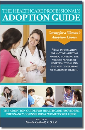 The Healthcare Professional's Adoption Guide book cover
